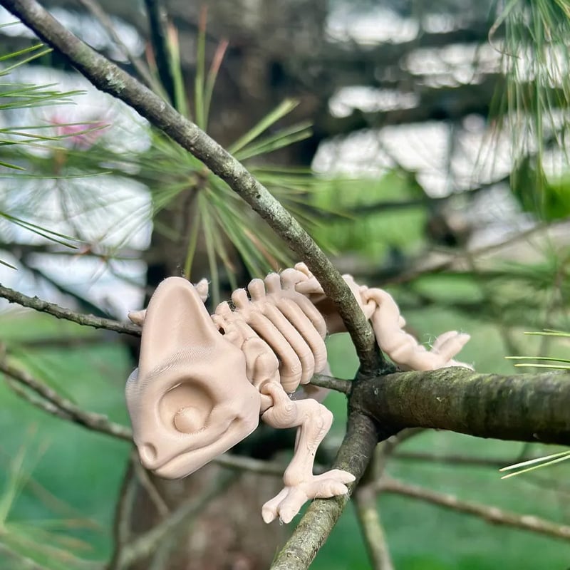 Skeleton 3d printed Spooky Chameleon